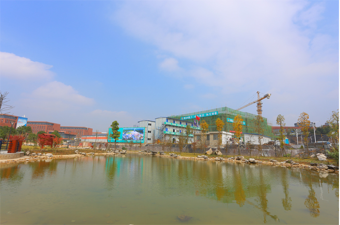 施工现场2.jpg